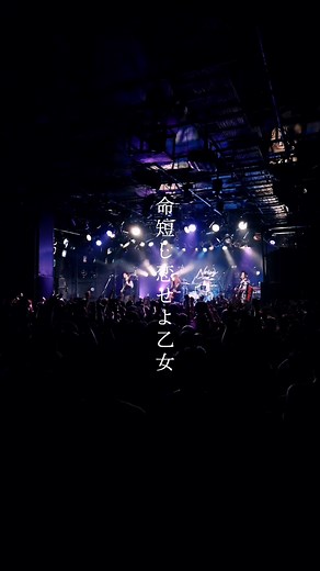 命短し恋せよ乙女ライブ映像