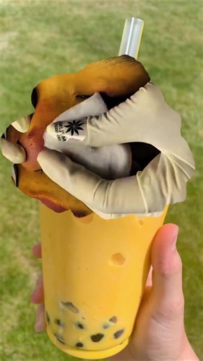 #acne #acnetreatment #acneproneskin | acne