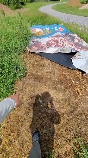 Silage Tarp For Killing Grass!