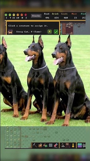 Using Pet Pastures the RIGHT Way! Dwarf Fortress Tips & Tricks #shorts