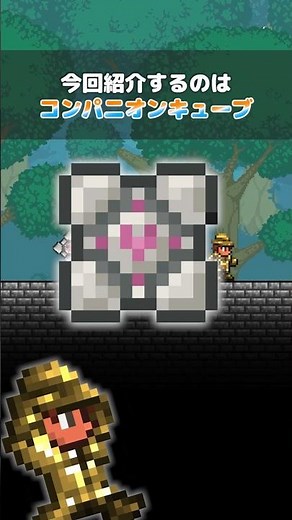 [Terraria] The most expensive item: Companion Cube #terraria #Terraria #Shorts #GameExplanation