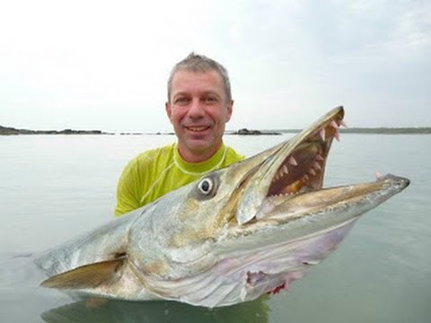 World's Biggest Barracuda Ever Caught