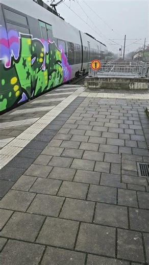 Hamsterbacke BR 1442 in Markkleeberg #trainspotting #train