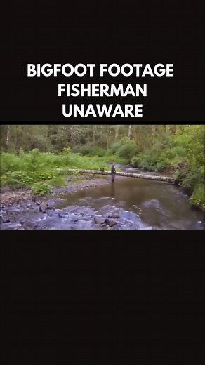 16K views · 365 reactions | Bigfoot and Fisherman footage video #publishtoall | Bigfoot Society | Facebook