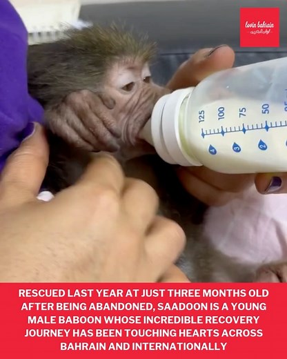 Lovin Bahrain on Reels | Facebook