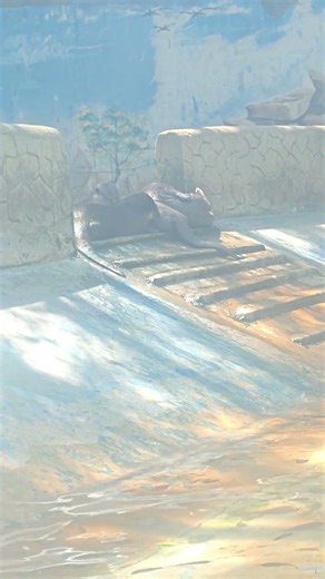 otter 🦦 udbilaw 🦦❤️ #otter #otters #animallovers #animallife #cute #cuteanimals #funny #patnazoo