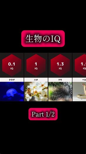 さまざまな生物のIQの比較