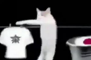 155K views · 3.2K reactions | ... | WEIRDnet | Facebook