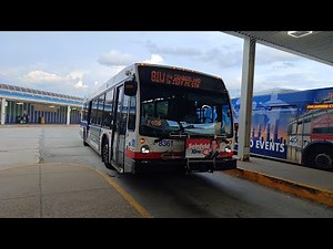 Ride On CTA 2022 Nova Bus LFS 8361 On Rt 81W to Jefferson Park Blue Line Station via Cumberland