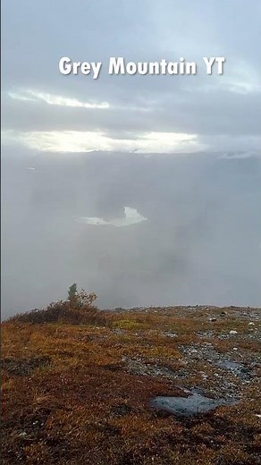 Hidden Gem in Whitehorse | Grey Mountain! Yukon