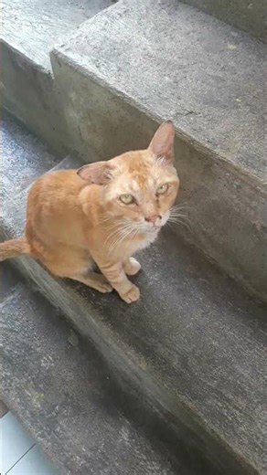 #KMOCENG come on ceng