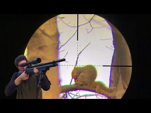 PCP Air Rifle Squirrel Hunting! {catch and cook}