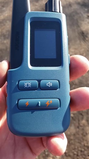 Effective Dog Training with Vibrating Collar