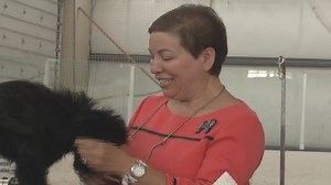 Dog show comes to Missoula