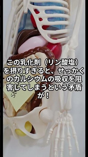 【プロセスチーズ】添加物の塊？毎日食べるなら「ナチュラルチーズ」を選ぶべき理由 #医食同源 #Shorts