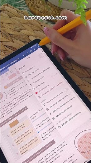 ✍️ Reconocimiento de la mano en Goodnotes 5: Posición al escribir | HardPeach