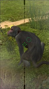 macaque hunting game #hunting #huntingchannel #snipertarget #animals #youtubeshorts #shortfeed