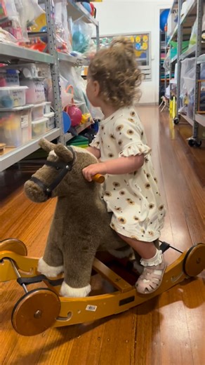 Our opening hours remain the same this long weekend 🐴 Open Saturday 9:30am-1pm and Monday 2-4pm! | Kingston Toy Library