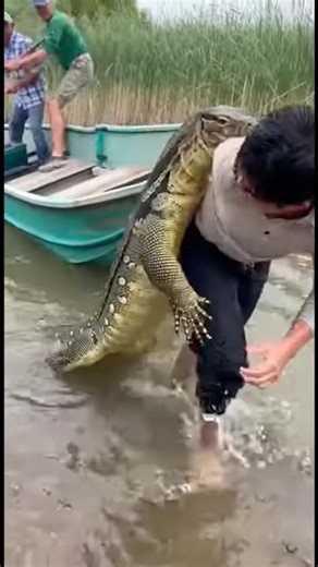 The lizard is holding the man like an earthworm #shorts