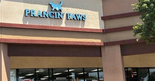 Marana PD: No pending criminal charges in pet salon investigation