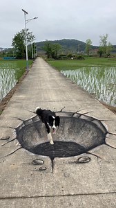 1.7M views · 8K reactions | 地面上的️ #3d #drawing #painting #art #funnyvideos #3ddrawing #artist #funny #graffiti | 彩绘张世先 | Facebook