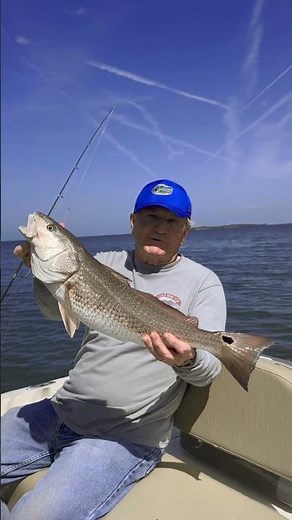 Catching red fish in Cedar Key,FL with Saltwater Assassin Fishing Charters. #redfish #florida