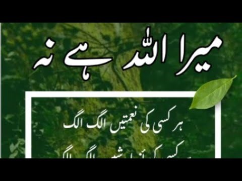 میرا اللہ ہےنہ #Viral