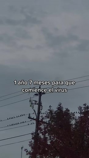 #zombies | zombies