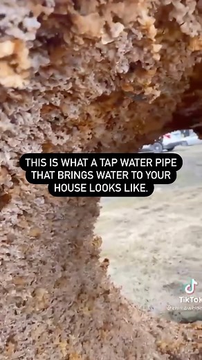 Carnivore Aurelius © on Instagram: "Stop drinking tap water. Water is the most essential nutrient, but today it is a toxic tea of hundreds of carcinogens. It shocks me how few people realize how filthy tap water actually is. People assume that just because it's clear it's okay, but tap water is full of thousands of chemicals and one of the most underrated cause of health issues Do not go anywhere near tap water... Don't drink it. Don't shower in it. Don't even look at it. For those asking, my fa