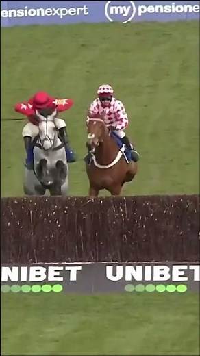 How did Jango Baie win 😂 #horse #horseracing #racingtv #sport #britishhorseracing