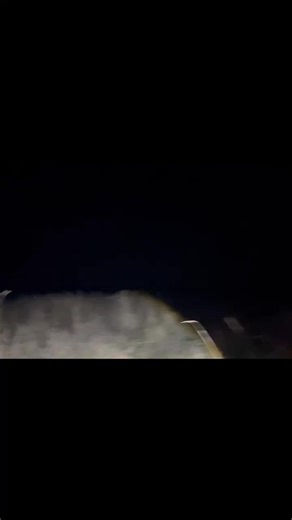 Crazy teal roost! | Old Hat Outdoors