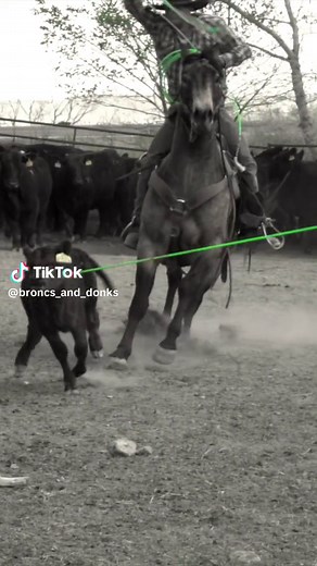 Broncs and Donks Ranch Roping in Slow Motion