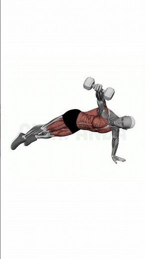 Dumbbell Plank Row - Perfect Form Guide #shorts
