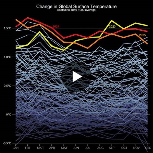 I Hate To Say It But I ve Told You So [Example number 24 of 30] I ve been authoring posts and publishing books about the cascade failure and subsequent suprasystemic collapse of our living… | Bart Flos