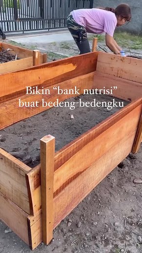Membuat Bank Nutrisi Tumbuhan: Panduan Lengkap
