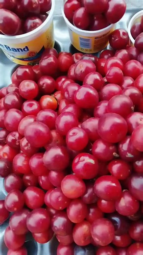 plums season #kisiifinest1