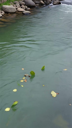 Why Is the River Flowing Backward? ⭐