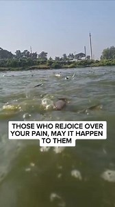Those who rejoice over your paiñ, I reverse it // apostle Joshua Selman | Daily Revival