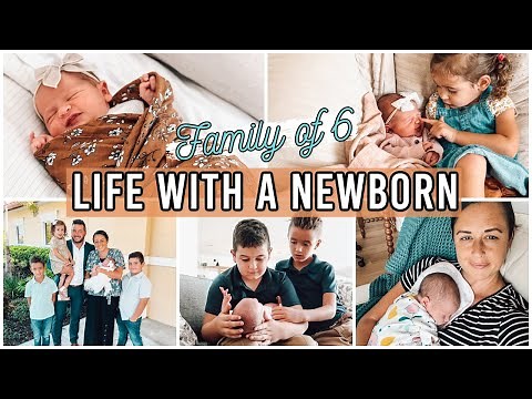 Newborn Week in The Life | Mennonite Family of 6 | Lynette Yoder