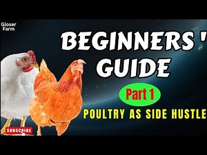 How to Start a Profitable Poultry Farm as a Side Hustle: Complete Beginner's Guide (Part 1).