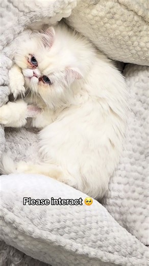 I’ve never seen him so sick. 🥺🥺 #blowthisup #dontflopthis #foryou #fyp #viral