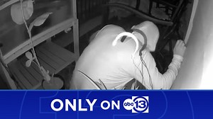 ONLY ON 13: Woman says she caught man peeping into Baytown apartment window as she undressed