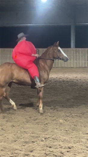 Fancy Dress Fun Show Finals 2025