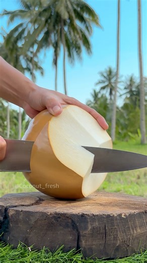 High-Tech Coconut Farming in China