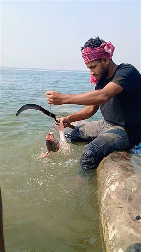 Using the fish’s head as bait to catch the fish 🐟#fishing#fish#viral #shorts#shortvideo #shortsfeed