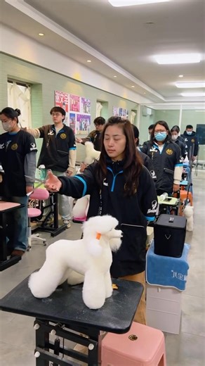 The first thing in class every day is to practice ✂️✂️✂️ | Kelly Sun