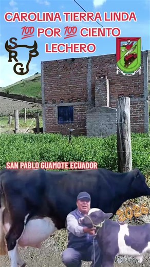 Exploring the LIVE Incentive Program Benefits