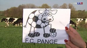 En Moselle, le club de football de Pange vient de remporter le prix... du pire logo 🐮 ! Notre reportage sur ces amoureux du ballon rond, heureux d'être désormais connus du monde entier. | TF1 INFO