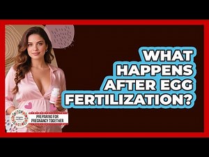 What Happens After Egg Fertilization?