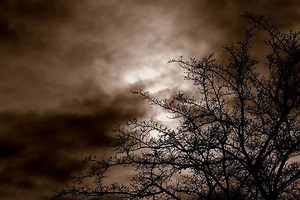 10 Macam Dosa Besar Menurut Al Quran - Islampos